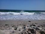     
: 2017-09-07 15.34.46.jpg
: 21
:	166.1 
ID:	12274271