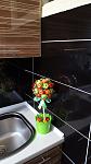     
: 20170622_173804.jpg
: 12
:	71.5 
ID:	12275090