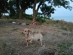     
: P70908-193141.jpg
: 27
:	198.9 
ID:	12275829