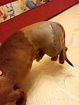    
: P70908-200956.jpg
: 11
:	82.9 
ID:	12276048