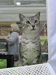     
: cat (2).jpg
: 16
:	42.8 
ID:	1227636