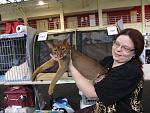    
: cat (5).jpg
: 19
:	86.5 
ID:	1227640