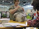     
: cat (8).jpg
: 25
:	61.6 
ID:	1227657