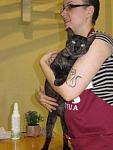     
: cat (9).jpg
: 29
:	34.3 
ID:	1227658