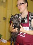     
: cat (10).jpg
: 28
:	41.9 
ID:	1227661
