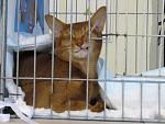     
: garf.jpg
: 21
:	74.9 
ID:	1227713