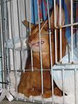     
: garf (2).jpg
: 24
:	41.6 
ID:	1227714