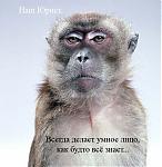     
: x_4e64aef3ba.jpg
: 49
:	49.0 
ID:	122773
