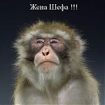     
: x_b6d503985d.jpg
: 37
:	39.3 
ID:	122774