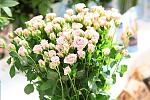     
: 1303798530792_bulletin.jpg
: 14
:	53.6 
ID:	12278786