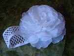     
: DSC06814.jpg
: 11
:	128.6 
ID:	12279856