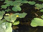     
: IMG_20170805_113334.jpg
: 14
:	108.1 
ID:	12280624