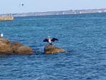     
: IMG_20170914_112400.jpg
: 60
:	107.8 
ID:	12287771