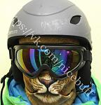     
: IMG_1466.jpg
: 16
:	94.3 
ID:	12290216