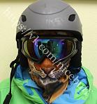     
: IMG_1480.jpg
: 18
:	88.7 
ID:	12290218