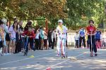     
: IMG_2924.JPG
: 44
:	255.8 
ID:	12290418
