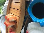     
: IMG_0933.jpg
: 88
:	118.0 
ID:	12290537
