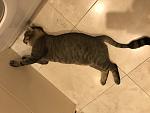     
: IMG_5811.jpg
: 10
:	88.0 
ID:	12290654