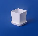     
: 393012146_w640_h640_main.jpg
: 3
:	18.5 
ID:	12294548