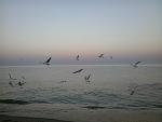     
: 2017-09-18 18.56.12.jpg
: 33
:	68.8 
ID:	12294843