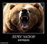     
: 1257357061_12568446.jpg
: 64
:	35.1 
ID:	1229529