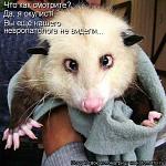     
: x_05c232fd.jpg
: 95
:	56.7 
ID:	1229554