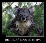     
: image-E8FE_4BC4BC72.jpg
: 90
:	61.5 
ID:	1229558