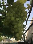     
: thumb_IMG_2220_1024.jpg
: 10
:	205.2 
ID:	12295615