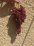     
: thumb_IMG_2589_1024.jpg
: 13
:	163.2 
ID:	12295616