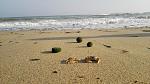     
: IMG_20170921_165432.jpg
: 33
:	171.2 
ID:	12300284