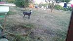     
: attachment.jpg
: 22
:	193.3 
ID:	12300522