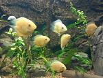     
: IMG_20170921_192816.jpg
: 14
:	143.0 
ID:	12300667