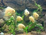     
: IMG_20170921_192813.jpg
: 16
:	139.1 
ID:	12300668