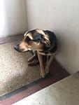     
: IMG_1301.JPG
: 44
:	137.8 
ID:	12302043