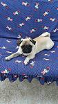     
: IMG-0cf6ac76acd3c277a123ffc16ec92ad7-V.jpg
: 66
:	149.2 
ID:	12304378