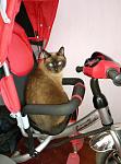     
: P70922-170810.jpg
: 6
:	81.6 
ID:	12304584