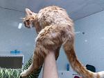     
: 20170923_144930.jpg
: 12
:	110.5 
ID:	12304985