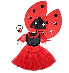     
: ladybug.jpg
: 13
:	69.3 
ID:	12306536