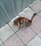     
: Screenshot_16.jpg
: 5
:	39.6 
ID:	12306654