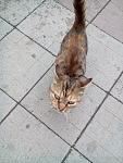     
: 9xuVAXp5beE.jpg
: 8
:	118.6 
ID:	12306655