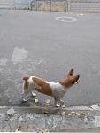     
: zc8eXenNnAo.jpg
: 16
:	97.6 
ID:	12308624