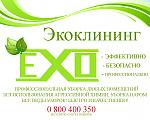     
: 832037600_w640_h640_eklklin.jpg
: 61
:	265.6 
ID:	12310595
