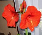     
: 20170926_225859.jpg
: 7
:	37.1 
ID:	12312054
