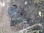    
: 20170927_141559.jpg
: 12
:	242.2 
ID:	12313015