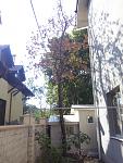     
: IMG-cde84b86906bd151f06c82aa612866a2-V.jpg
: 52
:	124.3 
ID:	12316074
