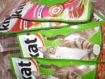     
: P1010001.jpg
: 7
:	149.7 
ID:	12317847