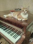     
: IMG_20170930_231930.jpg
: 11
:	69.9 
ID:	12320263