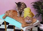     
: www_prikols_com_ru_C15.jpg
: 30
:	20.7 
ID:	1232126
