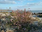     
: IMG_20171001_172005.jpg
: 24
:	271.9 
ID:	12321973