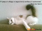     
: 1246881841_153158416.jpg
: 105
:	31.5 
ID:	1232993